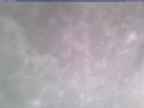 20250106_134001-1.jpg 