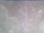 20250106_140001-1.jpg 