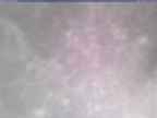 20250109_144002-1.jpg 