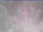 20250110_100001-1.jpg 