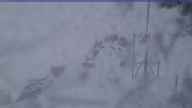 20250120_172002.jpg 