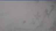20250123_120002.jpg 
