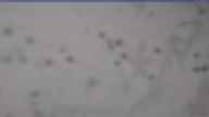 20250123_124002.jpg 