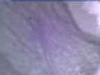 20250123_170001-1.jpg 