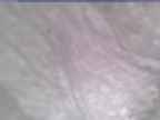 20250124_134002-1.jpg 