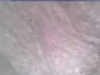 20250124_152002-1.jpg 