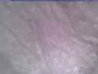 20250124_154002-1.jpg 