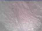 20250124_162002-1.jpg 