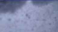 20250126_070002.jpg 