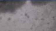 20250126_074002.jpg 