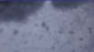 20250126_080002.jpg 