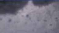 20250126_084001.jpg 