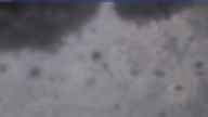 20250126_090002.jpg 
