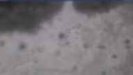 20250126_094002.jpg 