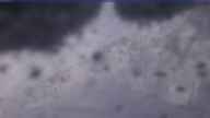 20250126_100002.jpg 