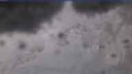 20250126_102002.jpg 