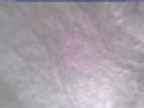 20250126_134001-1.jpg 