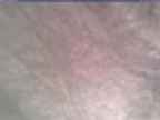 20250126_164001-1.jpg 