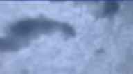 20250128_170002.jpg 