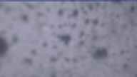 20250129_074002.jpg 