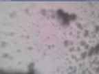 20250130_134002-1.jpg 
