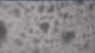20250130_140002.jpg 