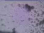 20250130_170001-1.jpg 