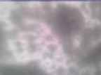 20250131_130002-1.jpg 