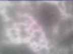 20250131_142002-1.jpg 