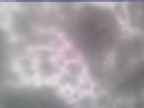 20250131_144002-1.jpg 