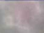 20250202_144002-1.jpg 
