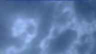 20250204_172002.jpg 