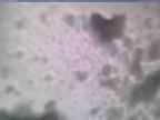 20250205_144002-1.jpg 