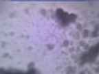 20250205_170002-1.jpg 