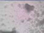 20250206_084002-1.jpg 