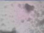 20250206_100002-1.jpg 