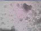 20250206_110002-1.jpg 