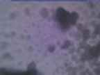 20250207_070001-1.jpg 