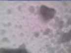 20250207_134002-1.jpg 