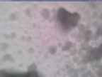 20250207_140001-1.jpg 
