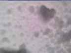 20250207_144002-1.jpg 