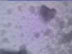 20250207_170002-1.jpg 