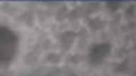 20250208_150002.jpg 