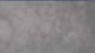 20250210_080002.jpg 