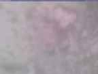 20250210_150001-1.jpg 