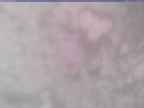 20250210_160001-1.jpg 