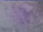 20250210_172001-1.jpg 