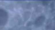 20250211_064002.jpg 
