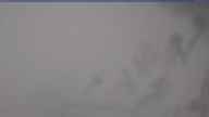 20250212_124002.jpg 