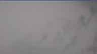 20250212_130002.jpg 